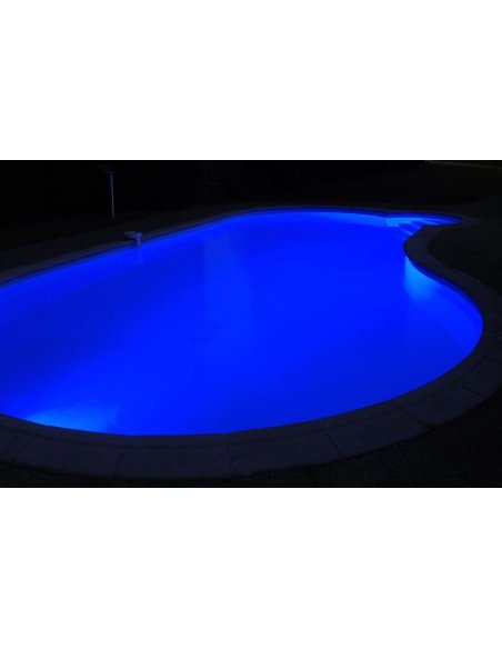 LED Piscine PAR56 12W RGB + télécommande