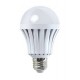 LED 10 WATT E80 BULB E27 2700°K