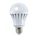 Ampoule LED 10 WATT E80 BULB E27 2700°K - Fin de série - Ni repris Ni échangé