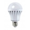 LED 10 WATT E80 BULB E27 2700°K