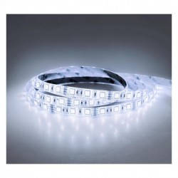 BANDE LED 12V - 60LEDs/m 14.4W/m 6000°K 5m PU IP65