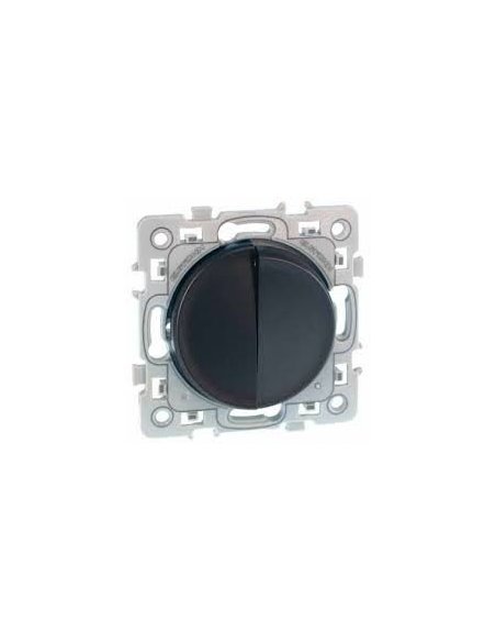 SQUARE Double VV ANTHRA 