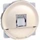 COMETE Prise RJ45 Multimédia FTP Cat.6 Grade 1 TITANE 