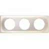 COMETE Plaque 3 postes TITANE