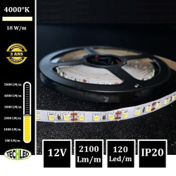 BANDE LED 12V - SMD2835 - 120LEDs/m 18W/m 4000°K 5m IP20