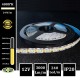 BANDE LED 12V - SMD2835 - 240LEDs/m 24W/m 4000°K 5m IP20