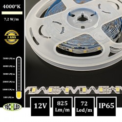 BANDE LED 12V S-Shape - SMD2835 - 72LEDs/m 7.2W/m 4000°K 5m IP65