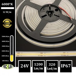 BANDE LED 24V COB 320LEDs/m 12W/m 6000°K 5m IP67