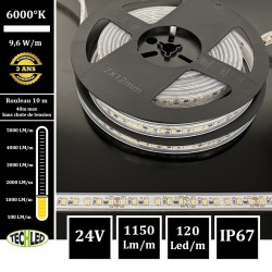 BANDE LED 24V SMD2835 120LEDs/m CC_Strip 9.6W/m 6000°K IP67 10m