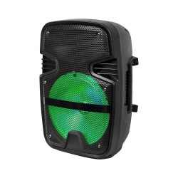 Enceinte 15W Rechargeable avec micro et télécommande