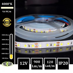 Bande LED 2835 120Led/m 9,6W/m 12V IP20 4000°K ECO