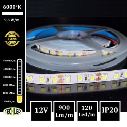 Bande LED 2835 120Led/m 9,6W/m 12V IP20 6000°K ECO