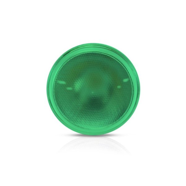 Ampoule LED E27 PAR38 16W Vert 