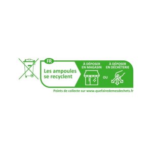 Ampoule LED E27 PAR38 16W Vert 