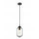 PENDANT LIGHT CLEAR GLASS 1*E14 40W L:12 H:120 