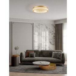 Triac Dimmable Platinum Gold Stainless Steel, Aluminium & Acrylic LED 70 Watt 220-240 Volt 3666Lm 3000K IP20 D: 61 H: 11 cm 