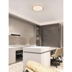 Triac Dimmable Brushed Gold Metal, Aluminium & Acrylic LED 35Watt 220-240Volt 3279Lm IP20 2700 + 3000K Dip Switch D: 40 H: 5