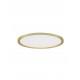 Triac Dimmable Brushed Gold Metal, Aluminium & Acrylic LED 35Watt 220-240Volt 3279Lm IP20 2700 + 3000K Dip Switch D: 40 H: 5