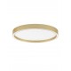 Triac Dimmable Brushed Gold Metal, Aluminium & Acrylic LED 38 Watt 220-240Volt 2363Lm IP20 2700 + 3000K Dip Switch D: 50 H: 5