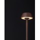 Rust Die-Casting Aluminium & Polycarbonate Frost LED 4Watt 220-240Volt 193Lm 3000K IP65 D:11 H:50cm 