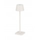 Sandy White Die-Casting Aluminium & Polycarbonate Frost LED 1.50Watt 3.700 Volt 121Lm 3000K IP54 Switch On/Off USB wire D:8.5 H