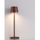 Sandy Rust Brown Die-Casting Aluminium & Polycarbonate Frost LED 1.50 Watt 3.700Volt 121 Lm 3000K IP54 Switch On/Off USB wire 