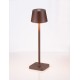Sandy Rust Brown Die-Casting Aluminium & Polycarbonate Frost LED 1.50 Watt 3.700Volt 121 Lm 3000K IP54 Switch On/Off USB wire 