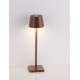 Sandy Rust Brown Die-Casting Aluminium & Polycarbonate Frost LED 1.50 Watt 3.700Volt 121 Lm 3000K IP54 Switch On/Off USB wire 