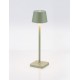Sandy Olive Green Die-Casting Aluminium & Polycarbonate Frost LED 1.50 Watt 3.700Volt 121Lm 3000K IP54 Switch On/Off USB wire