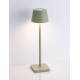 Sandy Olive Green Die-Casting Aluminium & Polycarbonate Frost LED 1.50 Watt 3.700Volt 121Lm 3000K IP54 Switch On/Off USB wire