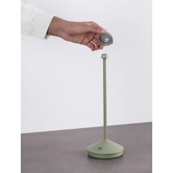 Sandy Olive Green Die-Casting Aluminium & Polycarbonate Frost LED 2Watt 120Lm 3.7Volt 3000K IP54 Switch On/Off USB wire D: 12 H