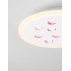 Dimmable with remote control CCT Sandy White Aluminium & Acrylic LED 19Watt 220-240 Volt 1485 Lm RGB in center Outer Ring Dimmab