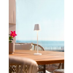 Sandy Beige Aluminium LED 2 Watt 3.7 Volt 101Lm 3000K IP54 Switch On/Off USB wire D: 7 H: 28 cm 