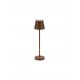 Sandy Rust Brown Aluminium LED 2 Watt 3.7 Volt 101Lm 3000K IP54 Switch On/Off USB wire D: 7 H: 28 cm 