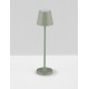 Sandy Olive Green Aluminium LED 2 Watt 3.7 Volt 101Lm 3000K IP54 Switch On/Off USB wire D: 7 H: 28 cm 