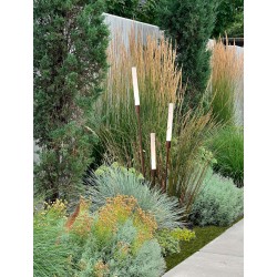 Corten Aluminium LED 4Watt 220-240Volt 195Lm 3000K IP65 Included plastic spike D: 10 W: 2.5 H: 100 cm 