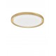 Led Ceiling light, Golden, 3000K, 50W, D:560*75mm 