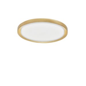 Led Ceiling light, Golden, 3000K, 50W, D:560*75mm 2
