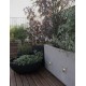 Grey Concrete IP65 L: 10 W: 1.7 H: 10 cm 