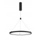 Pendant Lamp SMD Eaglerise TRIAC Driver 35W 3000K Black color 600*2000mm 120o IP20 
