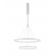 Pendant Lamp SMD Eaglerise TRIAC Driver 60W 3000K White color 600+395*2000mm 120o IP20 