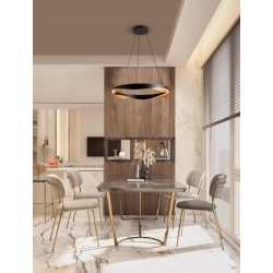 Triac Dimmable Matt Black & Gold Aluminium LED 53 Watt 220-240Volt 1751Lm 3000K IP20 D: 65 H: 160 cm 