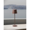 Sandy Brown Aluminium & Acrylic LED 2 Watt 192Lm 2700K DC 5 Volt IP54 Switch On/Off/ USB Type C Wire Rechargeable with PG base D