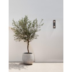 Anthracite Die-Casting Aluminium & Clear Glass LED E27 2x12 Watt 220-240 Volt Bulb Excluded IP65 L: 8.6 W: 9 H: 34.8 cm 