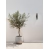 Anthracite Die-Casting Aluminium & Clear Glass LED E27 2x12 Watt 220-240 Volt Bulb Excluded IP65 L: 8.6 W: 9 H: 34.8 cm
