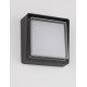 Anthracite die-Casting Aluminium Frost Acrylic & Clear Glass LED 10 Watt 763Lm 3000K 220-240V Beam Angle 112º IP65 L: 20 W: 7.4 