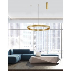 3000K Triac Dimmable Brass Gold Aluminium & Acrylic LED 50 Watt 3684Lm 230 Volt IP20 D: 80 H: 200 cm 