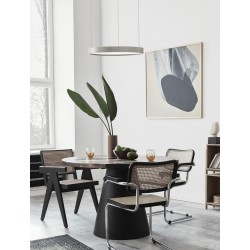 Triac Dimmable Bruched Champagne Silver Aluminium & Acrylic LED 22 Watt 230 Volt 1540Lm 3000K IP20 D: 40 H: 150 cm Adjustable