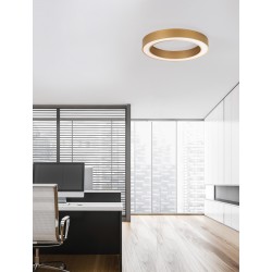 CCT Dimmable Brass Gold Aluminium & Acrylic LED 48 Watt 230 Volt 3730Lm 2700K - 4000K IP20 Remote Control Included D1: 60 D2: 