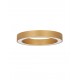CCT Dimmable Brass Gold Aluminium & Acrylic LED 48 Watt 230 Volt 3730Lm 2700K - 4000K IP20 Remote Control Included D1: 60 D2: 